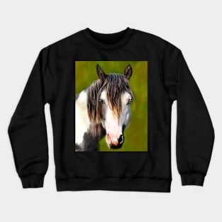 Ziggy Crewneck Sweatshirt